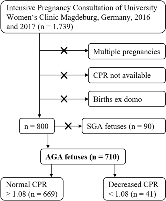 Pregnancy CPR Chart