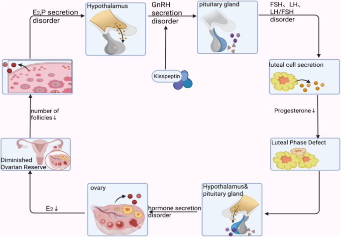 how to take glutathione iv effectively Glutathione IV Therapy: What You Need to Know