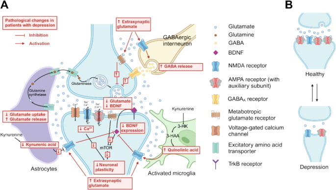 glutathion depression Advancing past ketamine: emerging glutamatergic compounds for the treatment  of depression | European Archives of Psychiatry and Clinical Neuroscience