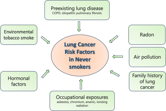 Lung Cancer in Never Smokers: Delving into Epidemiology, Genomic and Immune  Landscape, Prognosis, Treatment, and Screening | Lung