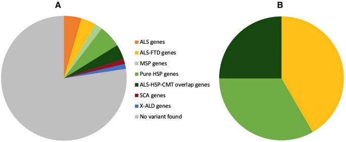Genetic characterization of primary lateral sclerosis