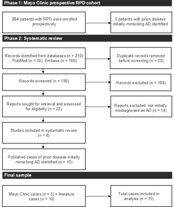 Prion disease mimicking rapidly progressive Alzheimer disease: case series and systematic review - Journal of Neurology