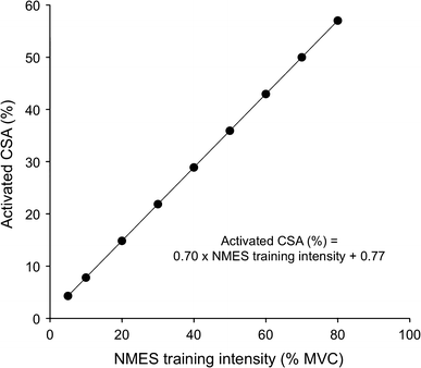 Physiological and methodological considerations for the use of neuromuscular  electrical stimulation