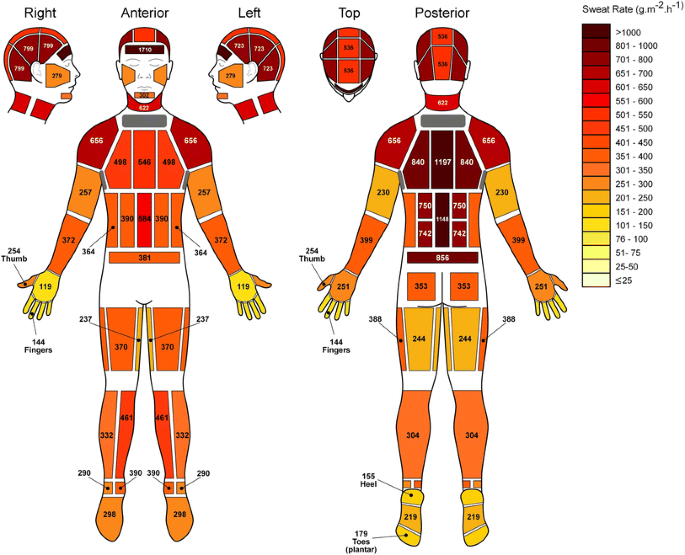 Digital body mapping of pain quality and distribution in athletes