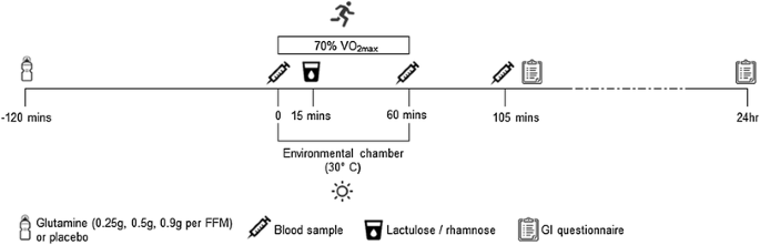 glutathione and glutamine supplementation reduces markers of intestinal permeability during running in the heat in a dose-dependent manner | European Journal of Applied Physiology Bar Soap Type:Healer Luxury Plus Solution Kit What to Avoid When
