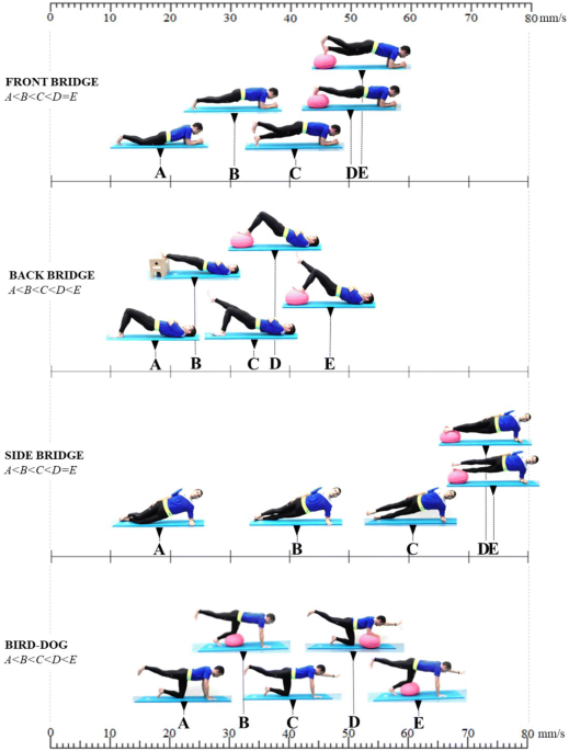 PDF] Efficacy of deep core stability exercise program in