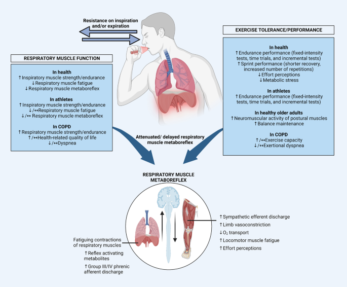 Chronic Obstructive Pulmonary Disease (COPD) Nursing Diagnoses