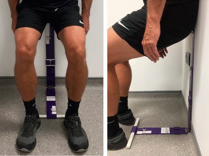 PDF] The Reliability and Validity of a Modified Squat Test to