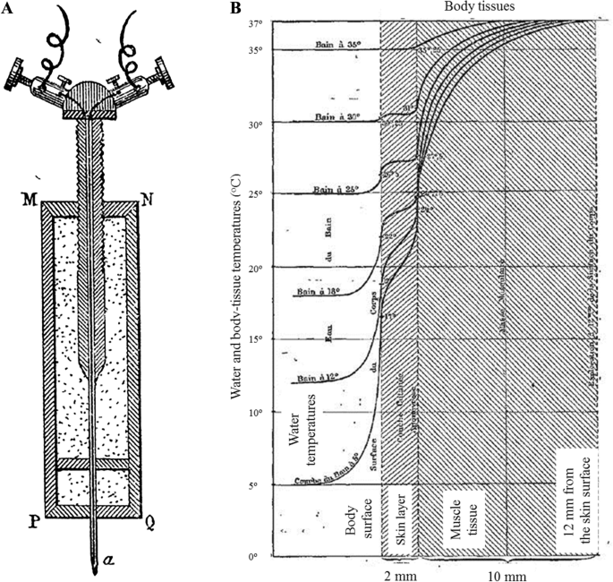 A century of exercise physiology: concepts that ignited the study of human  thermoregulation. Part 3: Heat and cold tolerance during exercise