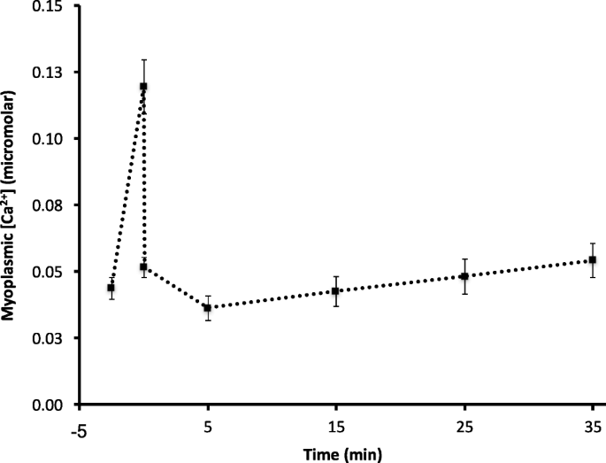 Influence of caffeine on the maximal isometric and concentric force  produced by skinned fibers