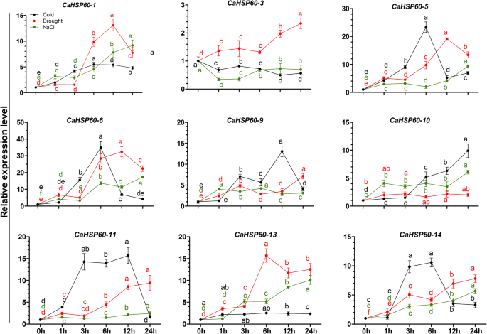 Comparative heat stress responses of three hot pepper (Capsicum annuum L.)  genotypes differing temperature sensitivity