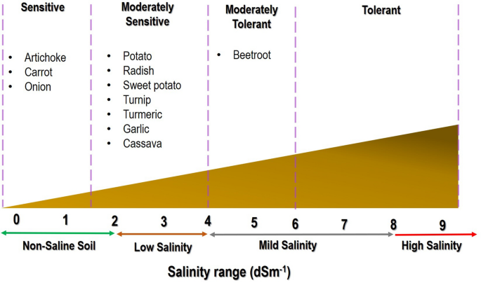 22+ Vegetable Cold Tolerance Chart