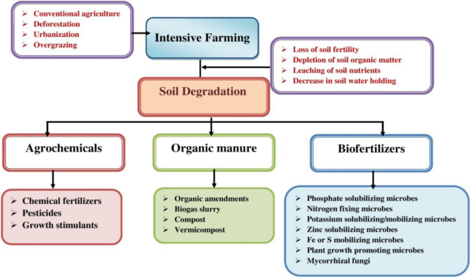 Harnessing phosphate-solubilizing microorganisms for mitigation of nutritional and environmental stresses, and sustainable crop production | Planta | Springer Nature Link Harnessing phosphate-solubilizing microorganisms for mitigation of nutritional and environmental stresses, and sustainable crop production | Planta | Springer Nature Link