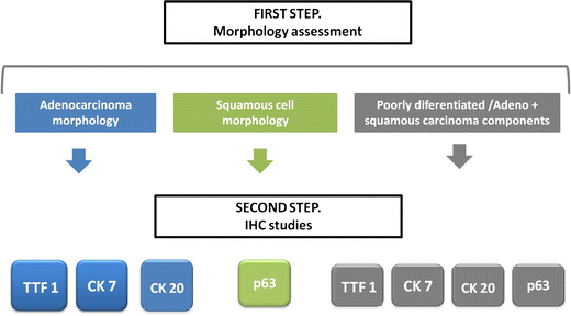 Ck7+ ck20+ tumors