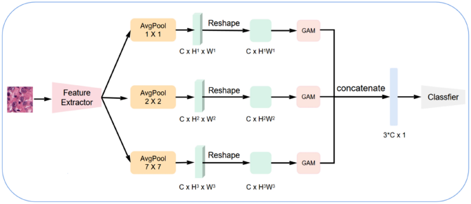 Machine Learning Based Classification of Microsatellite Variation