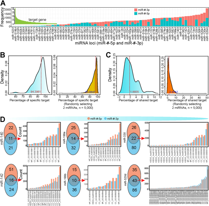 MicroRNA-411 and Its 5′-IsomiR Have Distinct Targets and Functions