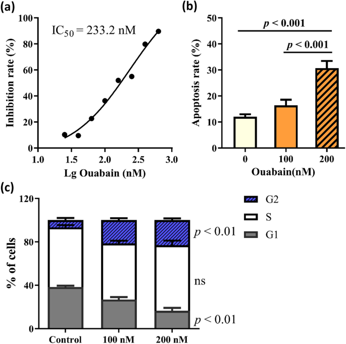Metabolomics analysis reveals cytotoxic effects of ouabain towards psoriatic keratinocytes via impairment of glutathione metabolism | Molecular Genetics and Genomics