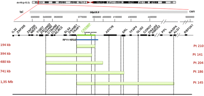 Rubinstein-Taybi Syndrome: spectrum of CREBBP mutations in Italian patients, BMC Medical Genetics