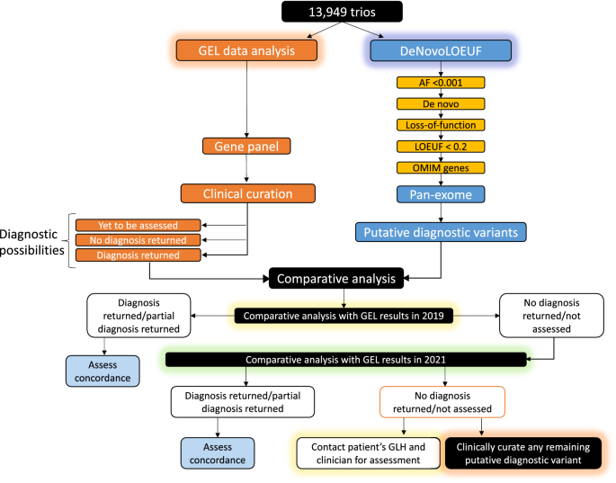 PDF) Identification of de novo EP300 and PLAU variants in a