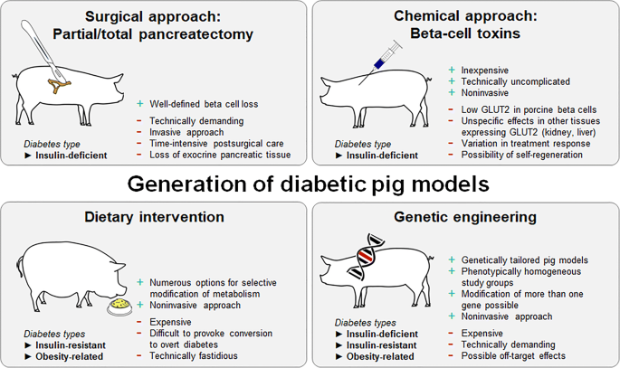 Week-long norm glycaemia in diabetic mice and minipigs via a subcutaneous  dose of a glucose-responsive insulin complex