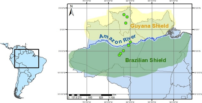 Direct and indirect effects of geographic and environmental factors on ant  beta diversity across Amazon basin | Oecologia
