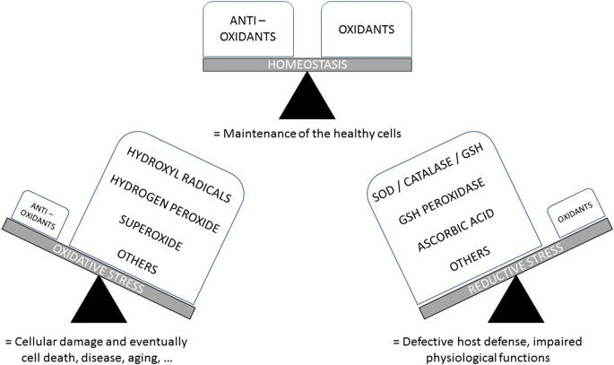 is glutathione safe for ckd Oxidative stress in chronic kidney disease | Pediatric Nephrology A systematic review of potential