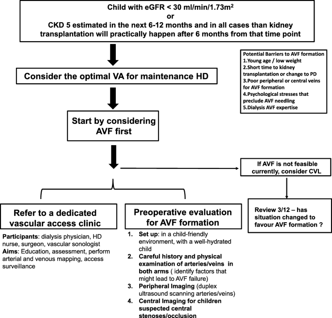 Doppler vascular mapping in Arterio Venous Fistula (AVF)