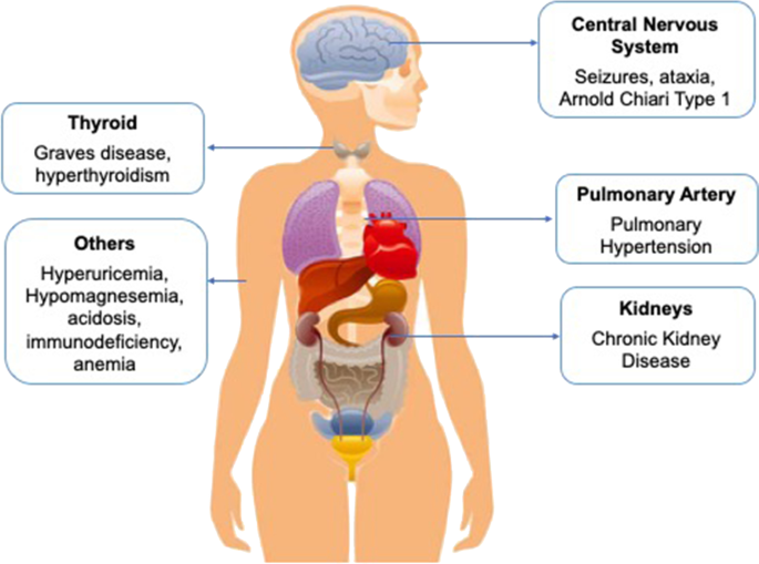 A case of chronic kidney disease with pulmonary hypertension,  hyperuricemia, immunodeficiency and other extrarenal findings: Answers |  Pediatric Nephrology | Springer Nature Link