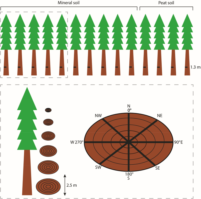 NHESS - A regional spatiotemporal analysis of large magnitude snow  avalanches using tree rings