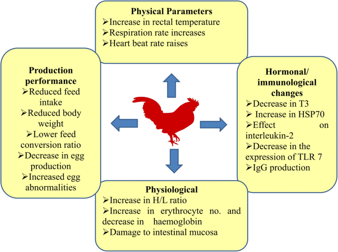 PDF) The Rise of Heatstroke as a Method of Depopulating Pigs and Poultry:  Implications for the US Veterinary Profession