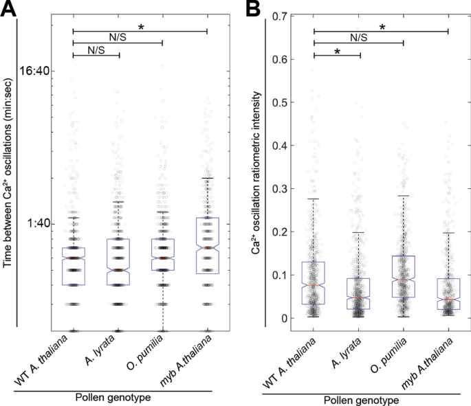 FER, ANJ, and HERK1 receptors interact with RALF6, 7, 16, 36, and 37