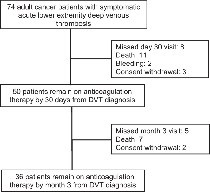 Measurement of adherence and health-related quality of life during  anticoagulation therapy in cancer-associated venous thromboembolism (VTE):  a multicenter quantitative study