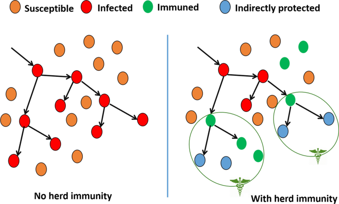 What does 'survival of the fittest' mean in the coronavirus pandemic? Look  to the immune system