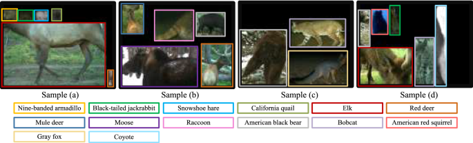 SAWIT: A small-sized animal wild image dataset with annotations