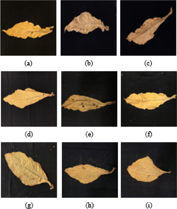 fuyl tobacco extract FUYL Technology