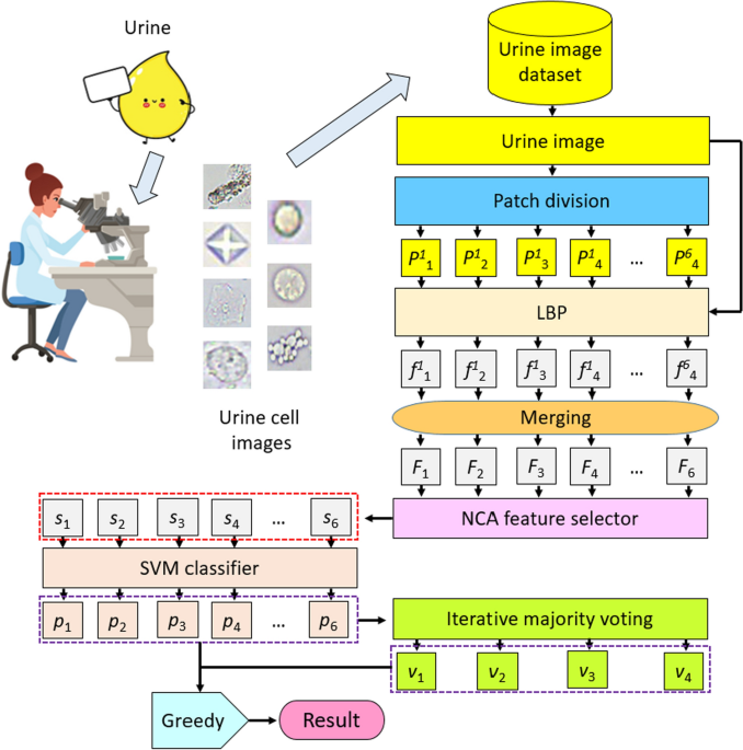 Inspection of visible components in urine based on deep learning