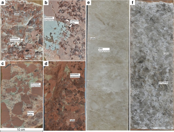 Microphotographs of polyhalite microfabric types, crossed polarizers