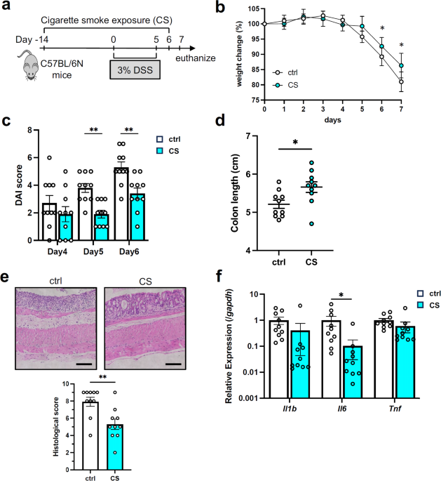 Metabolite 4-hydroxybenzoic acid, modulated by cigarette smoke exposure, functions as a protective factor in dextran sodium sulfate-induced colitis