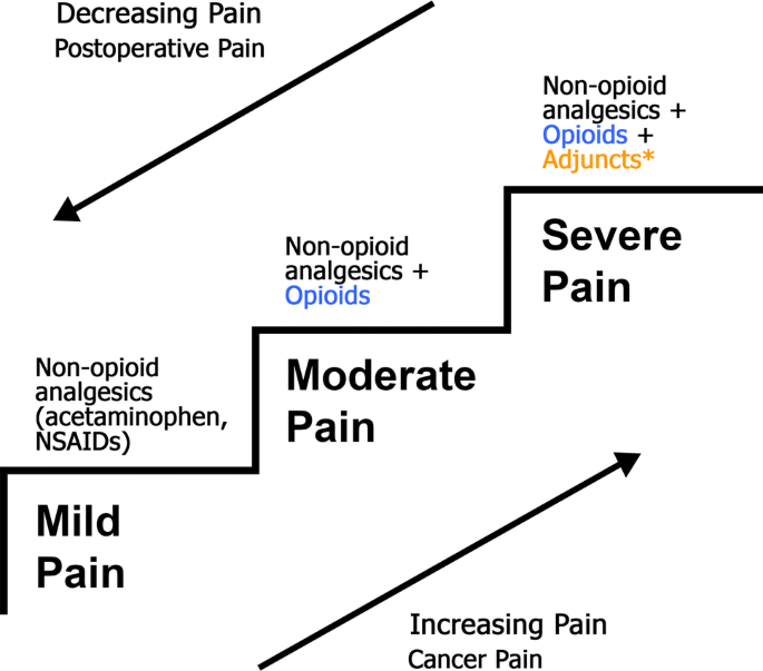 PDF) Assessment of quality of care in acute postoperative pain management