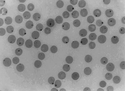 igf-1 lr3 igf-1 long r3 1mg IGF-1 LR3 For Sale | Receptor Grade Recombinant