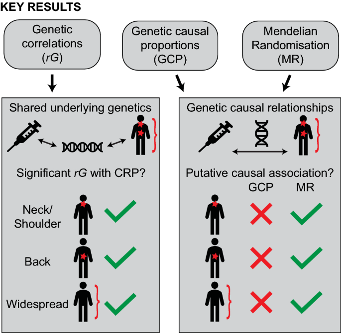 Genome-wide association study of nociceptive musculoskeletal pain treatment  response in UK Biobank