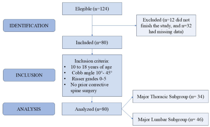 Responsiveness and minimal clinically important changes of surface topography parameters in adolescents with idiopathic scoliosis: results from the schroth exercise trial - European Spine Journal