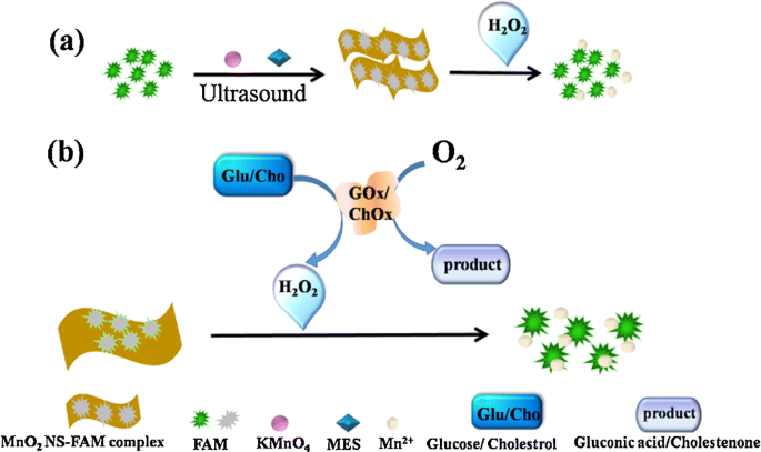 fluorometric glutathione assay methods for determination of H2O2, glucose and cholesterol by using MnO2 nanosheets modified with 5-carboxyfluorescein | Microchimica Acta negative effects of bpc