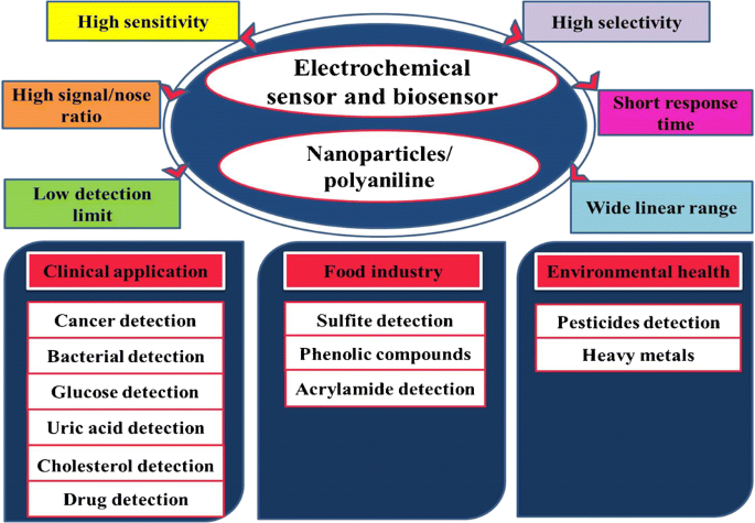 Nanoparticle-Based Immunochemical Biosensors and Assays: Recent