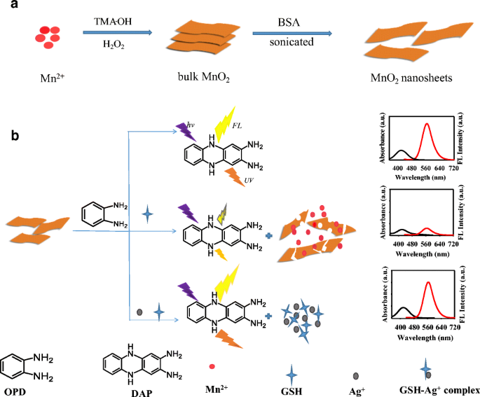 determination of glutathione A Selective Probe based on AIE Fluorogen and its Application in Enzymatic Activity Assay is assayed colorimetrically at 412 nm. A dual (colorimetric and fluorometric)