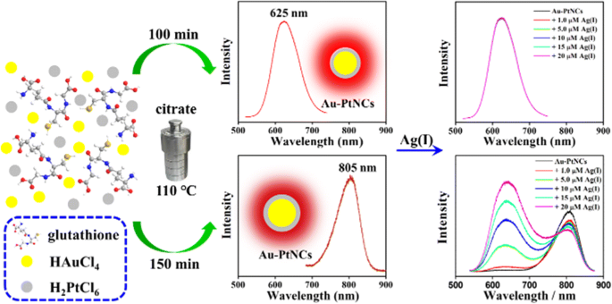 glutathione absorption spectrum Glutathione protected bimetallic gold-platinum nanoclusters with  near-infrared emission for ratiometric determination of silver ions |  Microchimica Acta