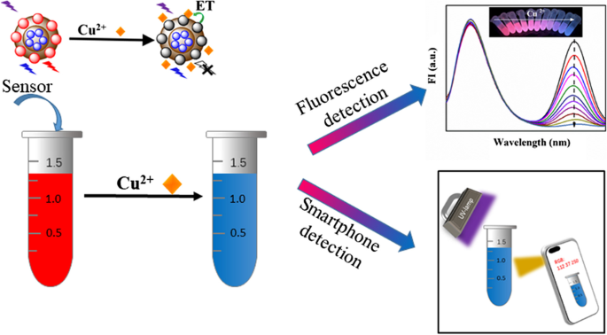 Rapid fluorescent color analysis of copper ions on a smart phone via  ratiometric fluorescence sensor | Microchimica Acta
