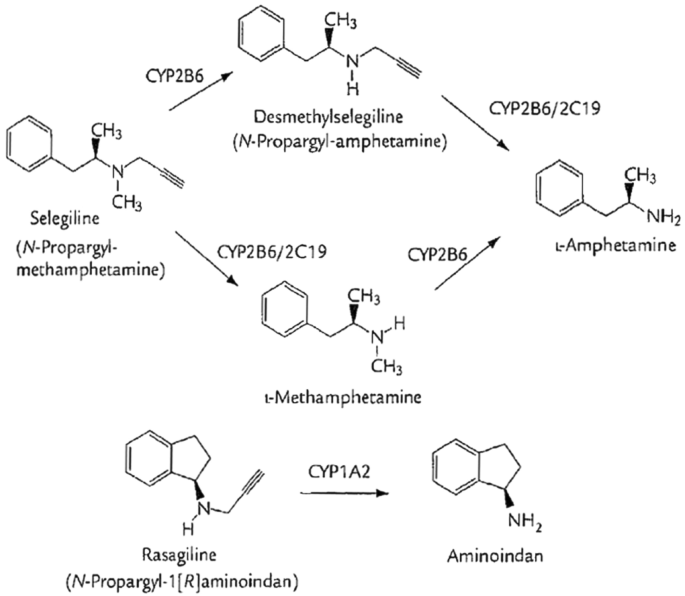 A critical appraisal of MAO-B inhibitors in the treatment of Parkinson's disease | Journal of Neural Transmission