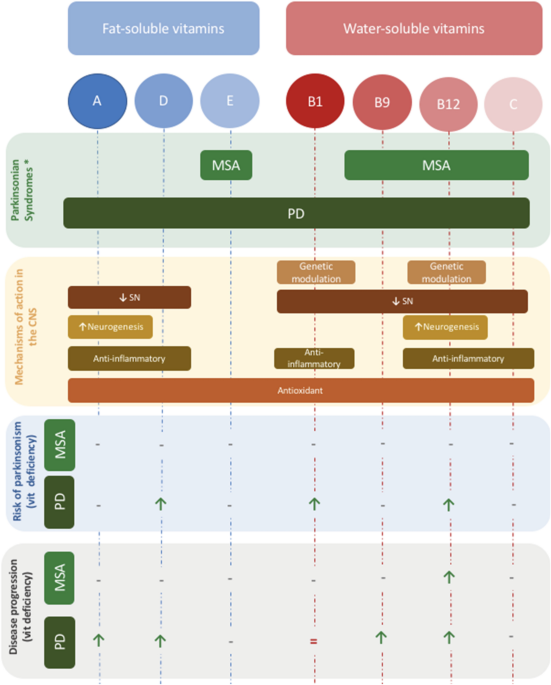 b12 injections for parkinson's Parkinson's disease and vitamins: a focus on vitamin B12 | Journal of  Neural Transmission