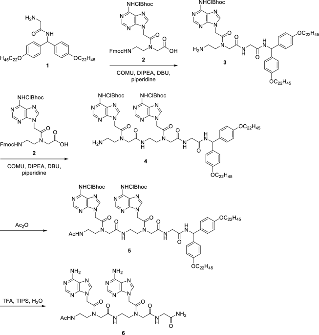 File:Opal molecular structure Via Scanning EM (idealized).jpg - Wikimedia  Commons